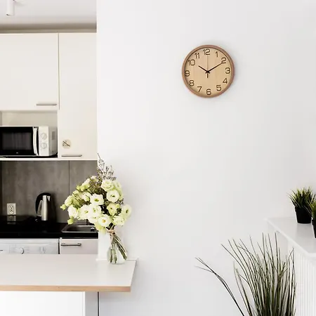 Piotrapartments - Swietokrzyska Center Daire *